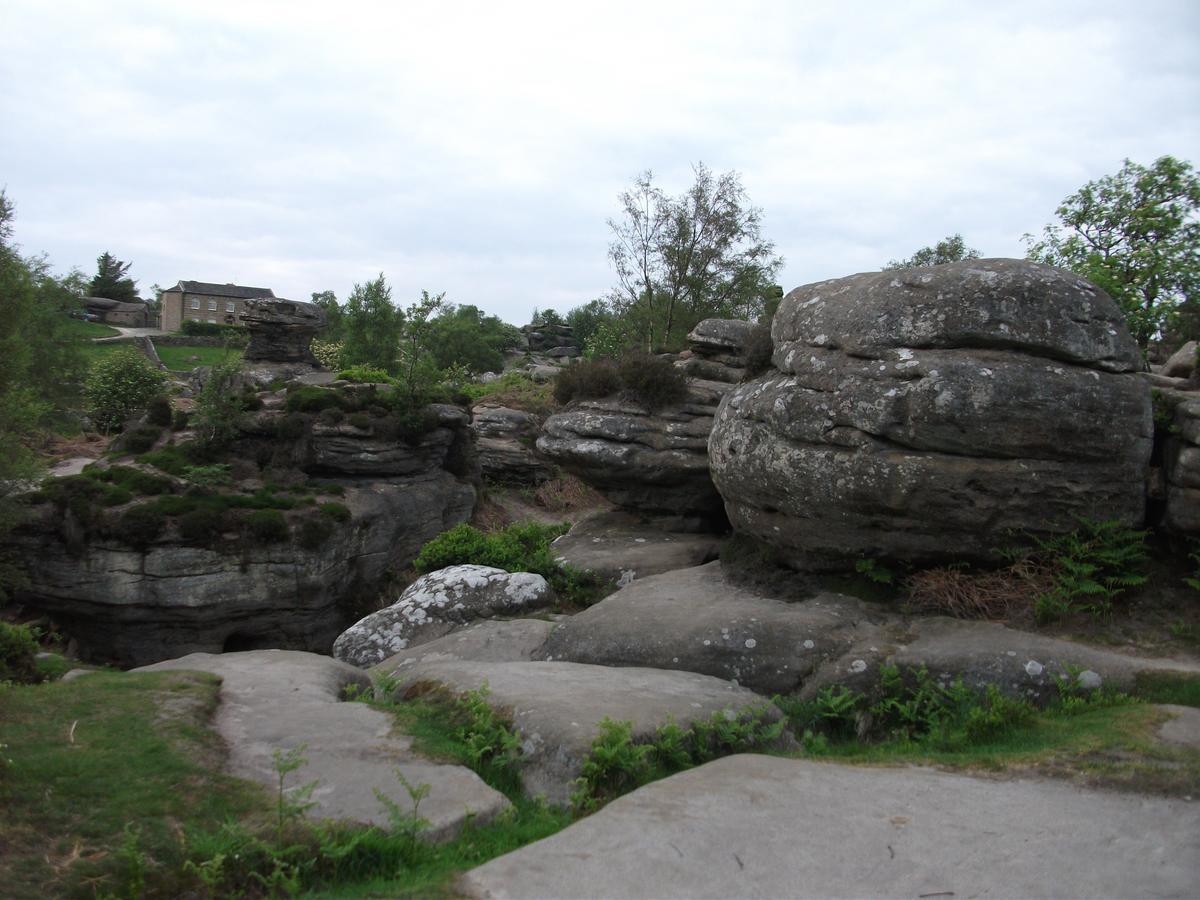 The Firs B&B &Tea Room Summer Bridge Екстериор снимка